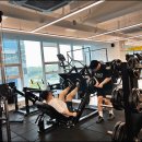 디엠피티 네이버블로그