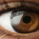 눈사랑안경 이미지