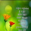 최고의선물 이미지