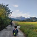 소로 브레드 이미지