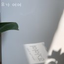 요가 여여