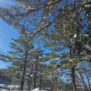 대관령로 | [선자령] 첫눈 기념 써보는 겨울산행ㅣ혼자 당일치기