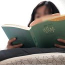 스테이청춘 이미지