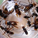 (주)기간 이미지