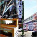 무한장어 이미지