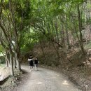 가벼운 등산, 깊은 여운 – 안성 서운산 하루산행기 / 주말 나들이로 딱! 안성 서운산 가벼운 등산 후기