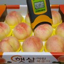 행복농원