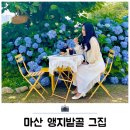 앵지밭골 | 창원 마산 카페 앵지밭골 그집 오픈런 후기 수국이 만개한 정원