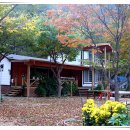 펜션 다알리아 이미지