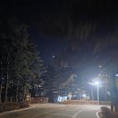 6101 | 인천에서 타오위안 공항 입국기 / 타오위안 공항에서 자오시 가는법 / 웰스프링바이 실크스 자오시 후기