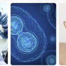 현대바이오 이미지