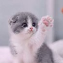 즐겨찾기 이미지