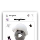 멍블랑 반려견미용실 이미지