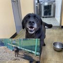 경포대초등학교 이미지