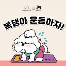 이씨네복덕방 이미지