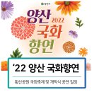 [2022년 10월 21일(음:9월 26일. 일출 6시 42분.일몰17시 49분]양산 국화 향연. 이미지