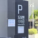 프로대형자동차 | 부산 대형카페 [모모스 도호헌점] 애견 동반 가능 산책 후기𖧷