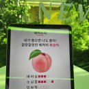 성수 팝업스토어 데미소다 팝업 스크레치 쿠폰 1등 당첨 후기