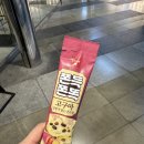 세븐일레븐(잠실역신광장점)