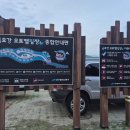 [대구 캠핑장] 퇴근하고 바로 떠나는 도심 속 낭만, 고양이가 반겨주는 '금호강 오토캠핑장'
