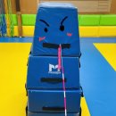 대명 태권도장 이미지