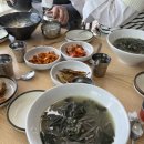 오션브릭풀빌라 네이버블로그