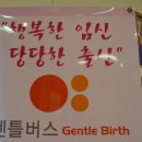 메디버스