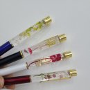 살랑살랑하개 이미지