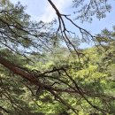 숫타니파타 4:13-899 사경모음 이미지