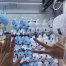 짱이뽑기샵 이미지