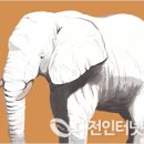 흰 큰 코끼리가 나오는꿈, 코끼리 먹이주는꿈 손물리는꿈해몽 이미지