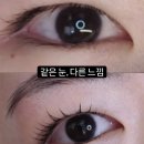 송파 잠실 문정동 속눈썹펌 브로우펌 왁싱 맛집 _ 여기왁싱 솔직후기