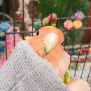 세용 농장 이미지