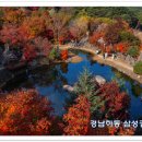 강산골프연습장 이미지