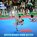 경희대무경태권도장 이미지