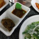 도림장어 이미지