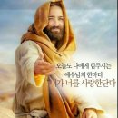 펌글 / 전쟁의 빛깔 이미지