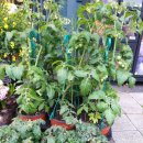 도로시미술학원 이미지