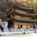 야단법석