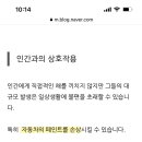 [일반] 러브버그 "와 미친 전혀 해가되지않는데 자동차 패인트를 녹인데" 이미지