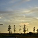 오렌지듄스 영종 골프클럽 이미지