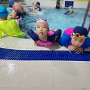 합기도 흑추관 이미지