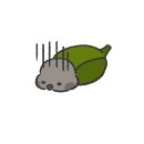 하남농장 | [앵무새쇼핑몰] 하남 아가새농장 직접 방문한 후기