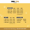 도그도그 | 용인 애견훈련 추천｜하이테일도그아카데미 방문 후기