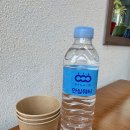 남해-306 | 남해 맛집 리스트업한 남해몽돌집 1995