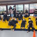 현 합기도 이미지