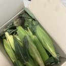 (주)땡큐파머스 이미지