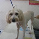 광성공업사 이미지