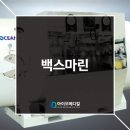 백스마린