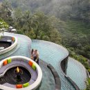 호텔정글(jungle) 이미지